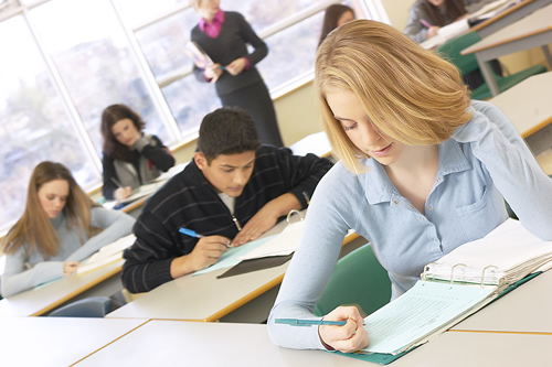 children studying children studying